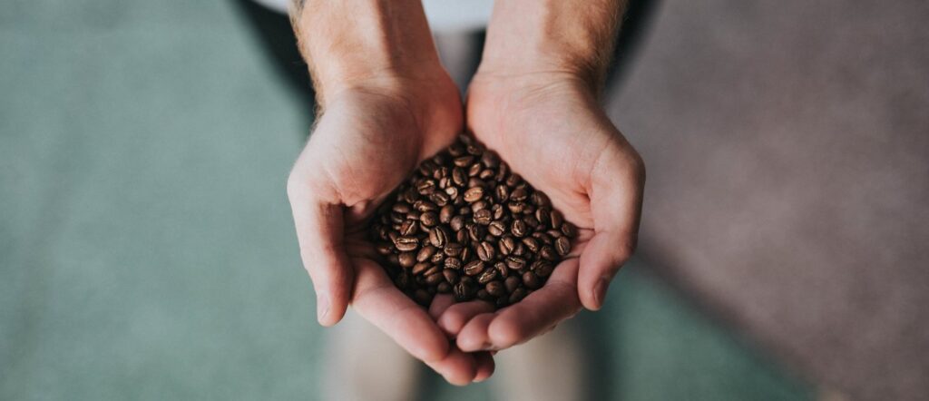 Kaffeebohnen in Handflächen